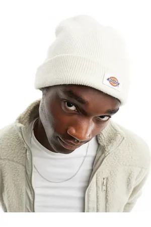 Dickies Gibsland beanie in -Neutral