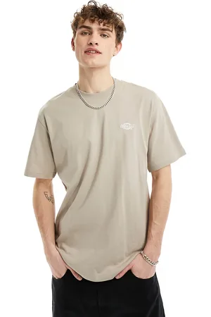Dickies Summerdale short sleeve t-shirt in sand-Neutral