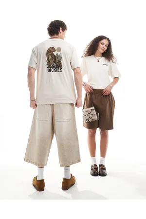 Dickies Seeley Lake back print t-shirt in