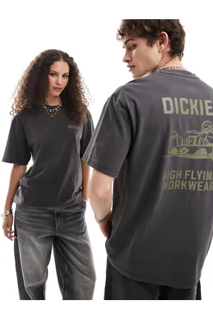 Dickies Graphic airplane back print t-shirt in