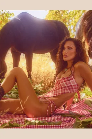 Frankies Bikinis X Bella Hadid gingham tie side bikini bottoms in