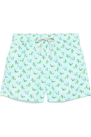 MC2 SAINT BARTH Lighting Micro Fantasy swim shorts