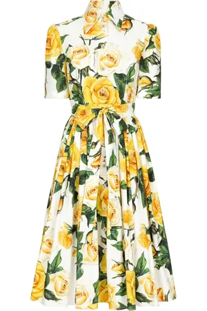 Dolce & Gabbana Rose-print cotton midi-dress