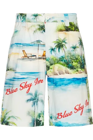 BLUE SKY INN Island Poplin Shorts in - Grey. Size M (also in ).