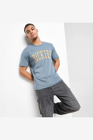 Dickies Aitkin Large Logo T-Shirt