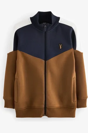 Next Boys Tan/Navy Colourblock Zip Through Sweat Top (3-16yrs)