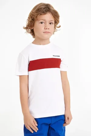 Tommy Hilfiger Boys Regular Fit Colourblock Embroidered 100% Cotton T-Shirt