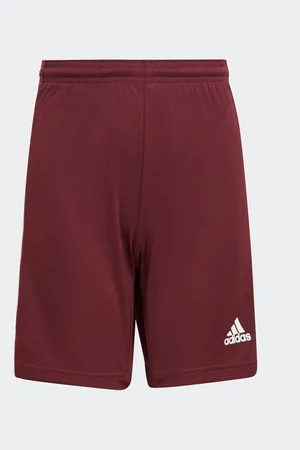 adidas Boys Dark Squadra 21 Shorts