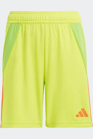 adidas Boys Lime Tiro 24 Shorts