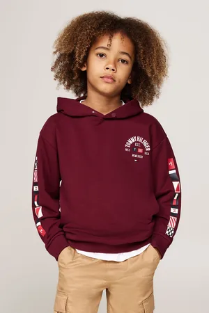 Tommy Hilfiger Boys Flags Embroidered Hoodie