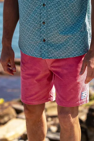 Brakeburn Cord Shorts 38