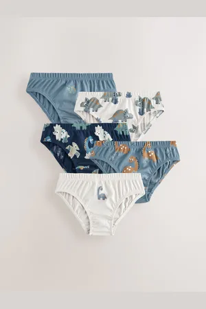 Next Blue Dinosaur 100% Cotton Printed Briefs 5 Pack (1.5-10yrs) 1.5