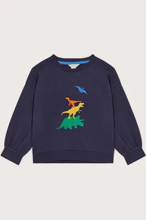Monsoon Blue Embroidered Dinosaur 100% Cotton Sweatshirt 3