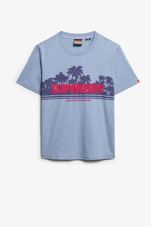 Superdry Blue Outdoor Stripe Relaxed T-Shirt AU 14