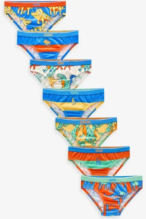 Next Bright Dinosaur 100% Cotton Briefs 7 Pack (1.5-10yrs) 5