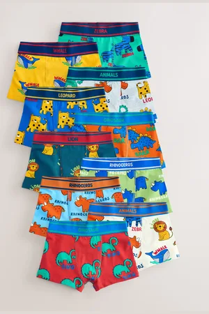 Next Primary Animals Trunks 10 Pack (1.5-16yrs) 3