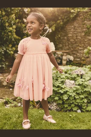 Next Embroidered Mesh Dress (3mths-8yrs) 2