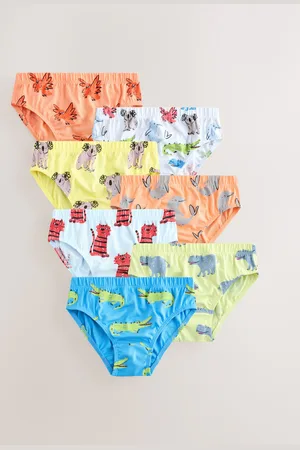 Next Bright 100% Cotton Briefs 7 Pack (1.5-10yrs) 5
