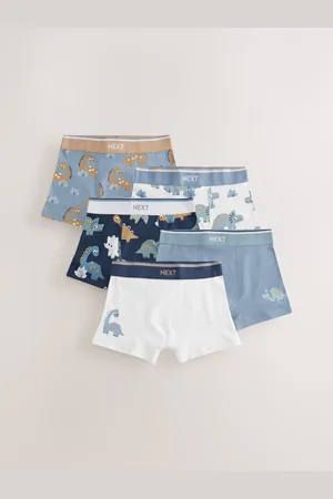 Next Blue/Brown Dino Trunks 5 Pack (1.5-12yrs) 7