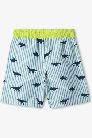 Hatley Dino Stripes Swim Trunks 5 Years (110cm)