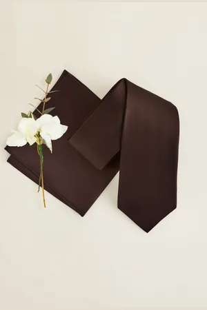 Next Chocolate Brown Silk Tie And Pocket Square Set One