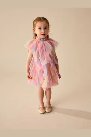 Next Sleeveless Mesh Party Dress (3mths-7yrs) 104110cm