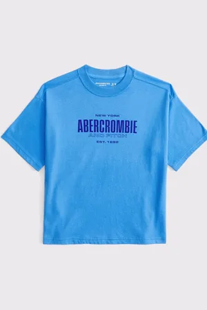 Abercrombie & Fitch Logo Graphic T-Shirt 13