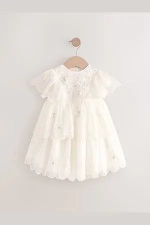 Next Short Sleeve Embroidered Mesh Dress (3mths-7yrs) 6