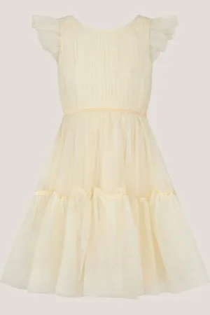 Monsoon Charlize Flutter Sleeve Tulle Dress 128134cm