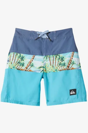 Quiksilver | Boys 2-7 Everyday Panel Boardshorts - - Size 4 at Official Store