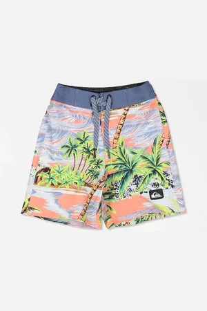 Quiksilver | Boys 2-7 Surfsilk Straight Boardshorts - - Size 2 at Official Store