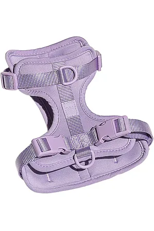 WILD ONE Harness in .