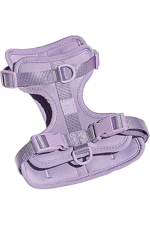 WILD ONE Harness in .