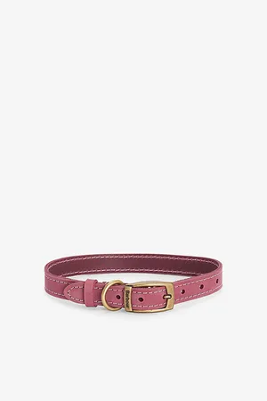 Barbour Branded-hardware Adjustable Leather Dog Collar