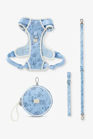 MAXBONE X Bridgerton Mesh Dog Walking Set