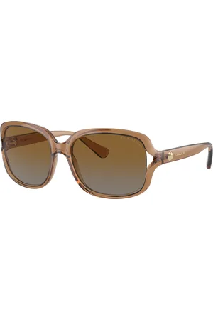 Coach Woman Sunglasses HC8169 L149 - Frame color: Transparent Brown, Lens color: