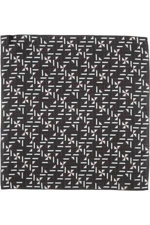 Ermenegildo Zegna Scarves