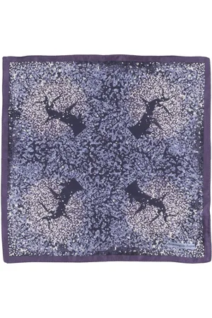 Ermenegildo Zegna Scarves