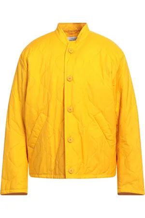 A KIND OF GUISE Puffers