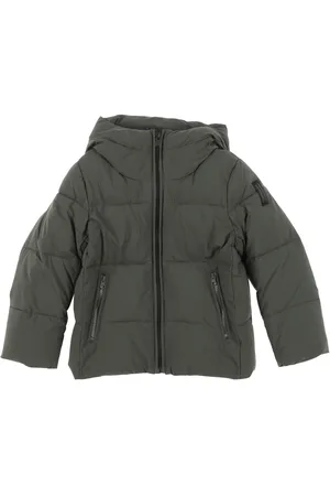 Bomboogie Puffers